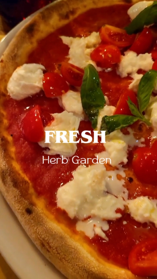 fresh herb garden 
