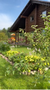My garden