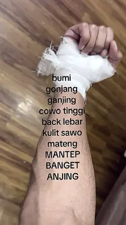 cwo tinggi back
