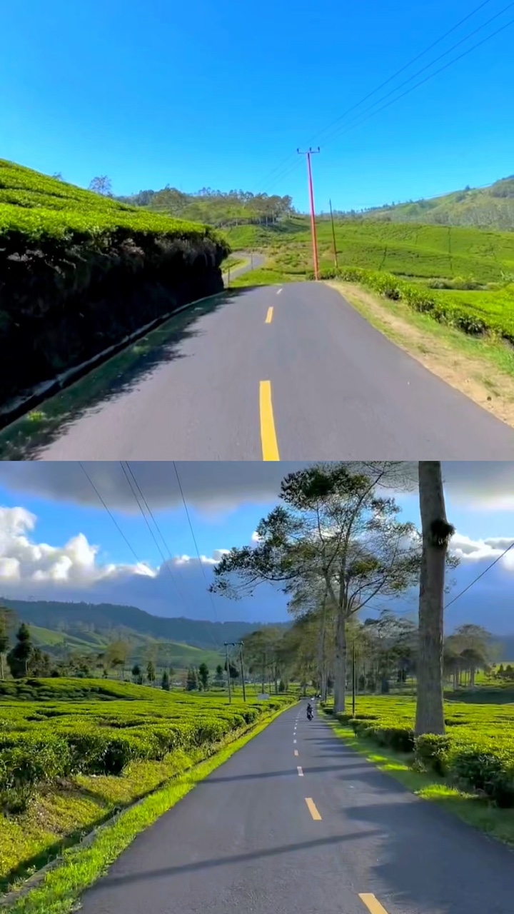 2 video 1 frame