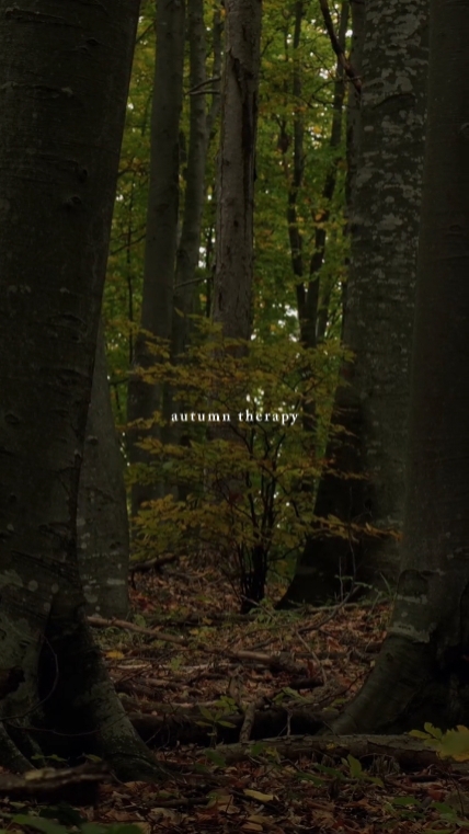 thérapie d'automne