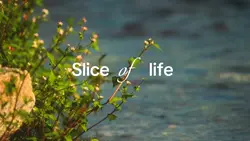 SLICE of LIFE
