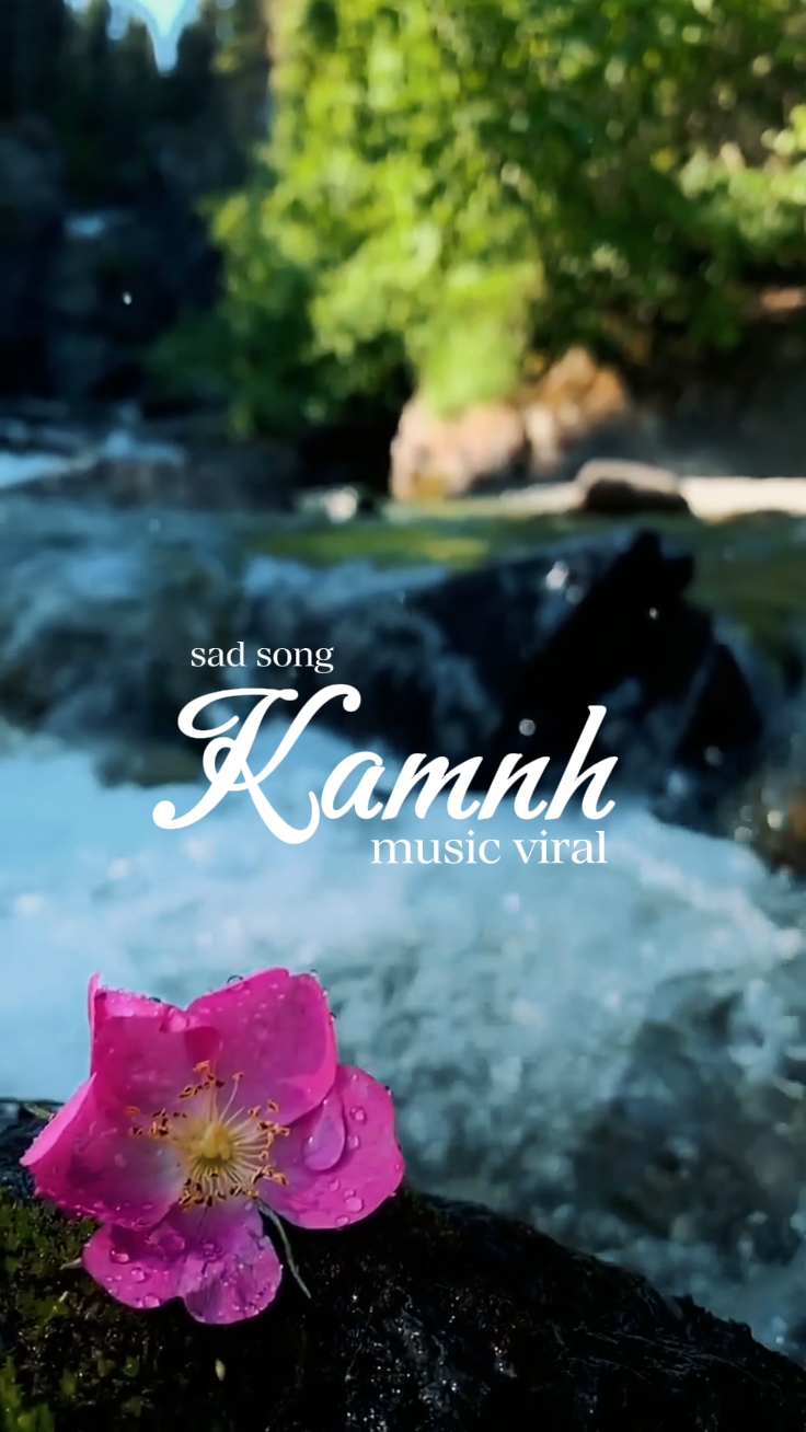 Sad Song -KAMNH-