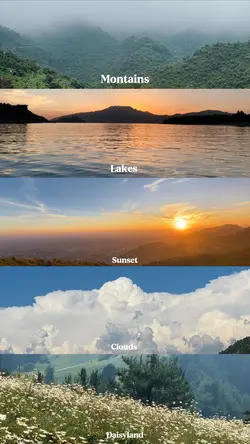 Cinematic Of Nature