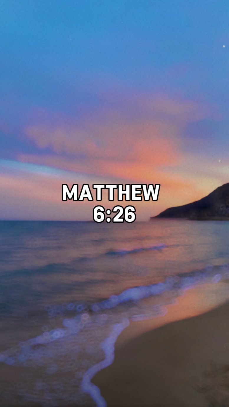 Mateus 6: 26