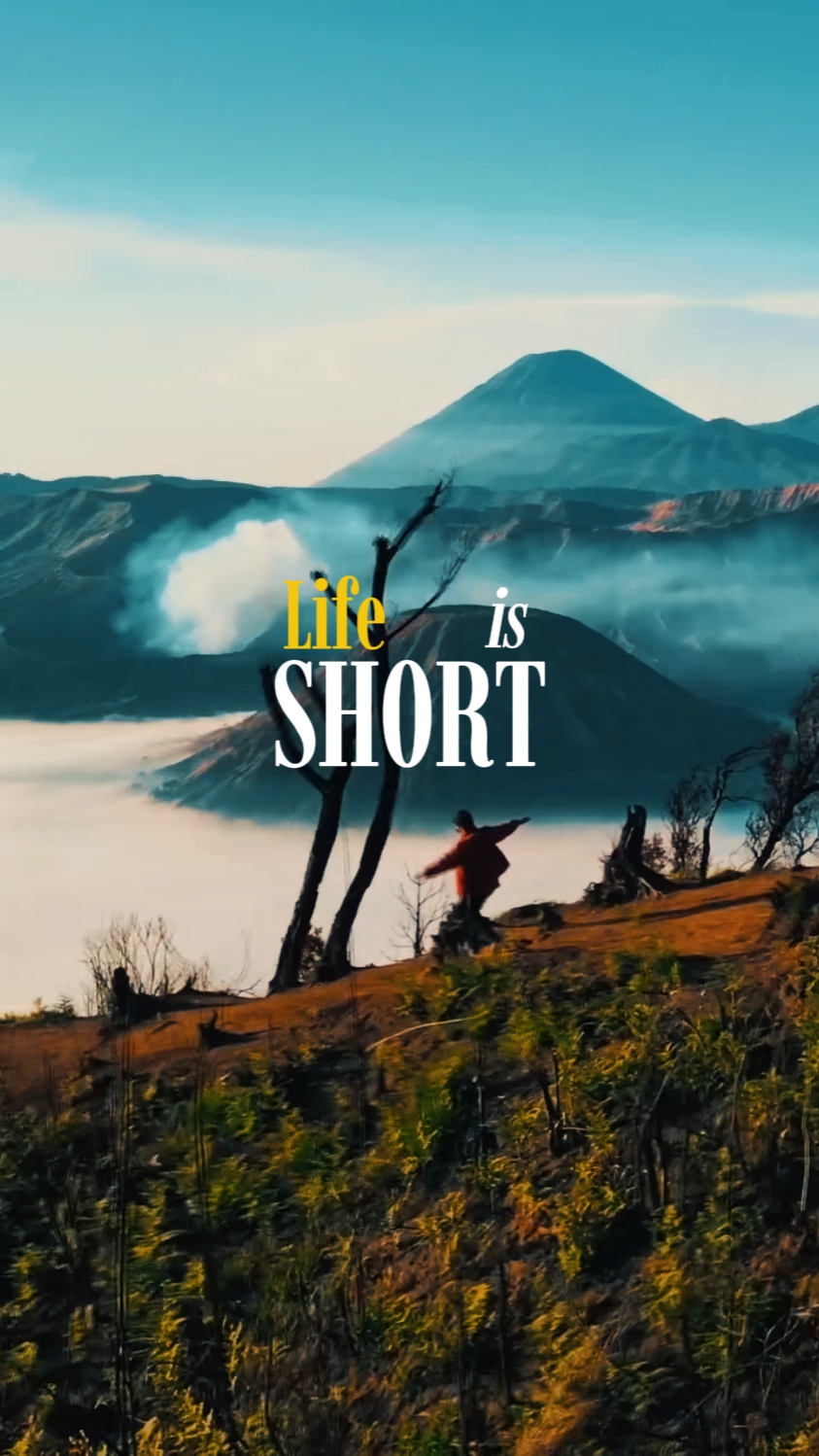 life is short