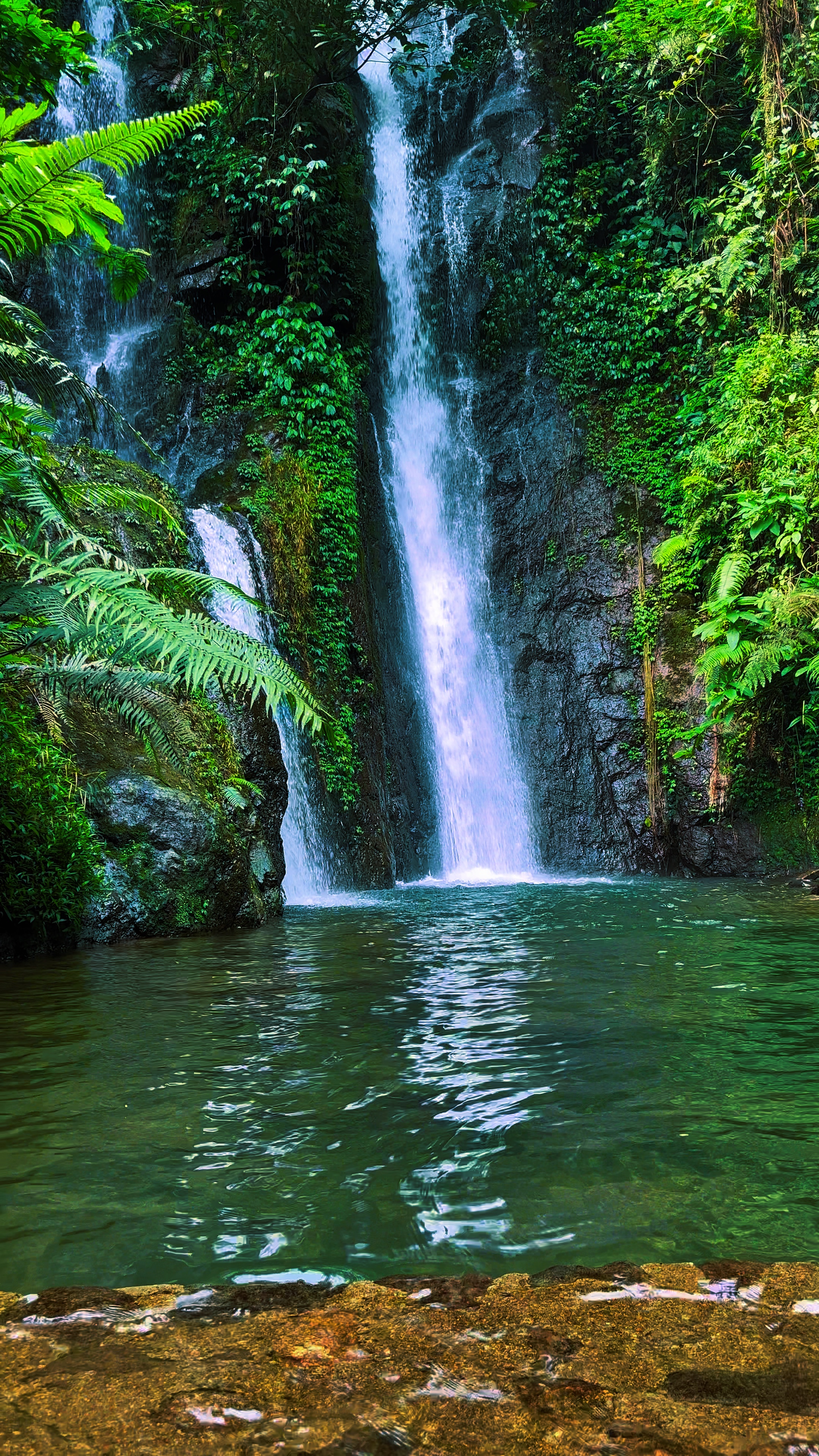 Plantilla Air Terjun
