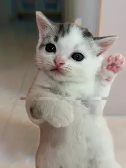 baby phonk