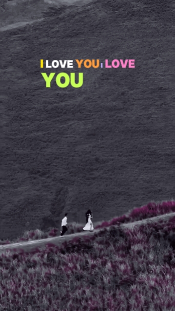 ROMANCTIC VIDEO