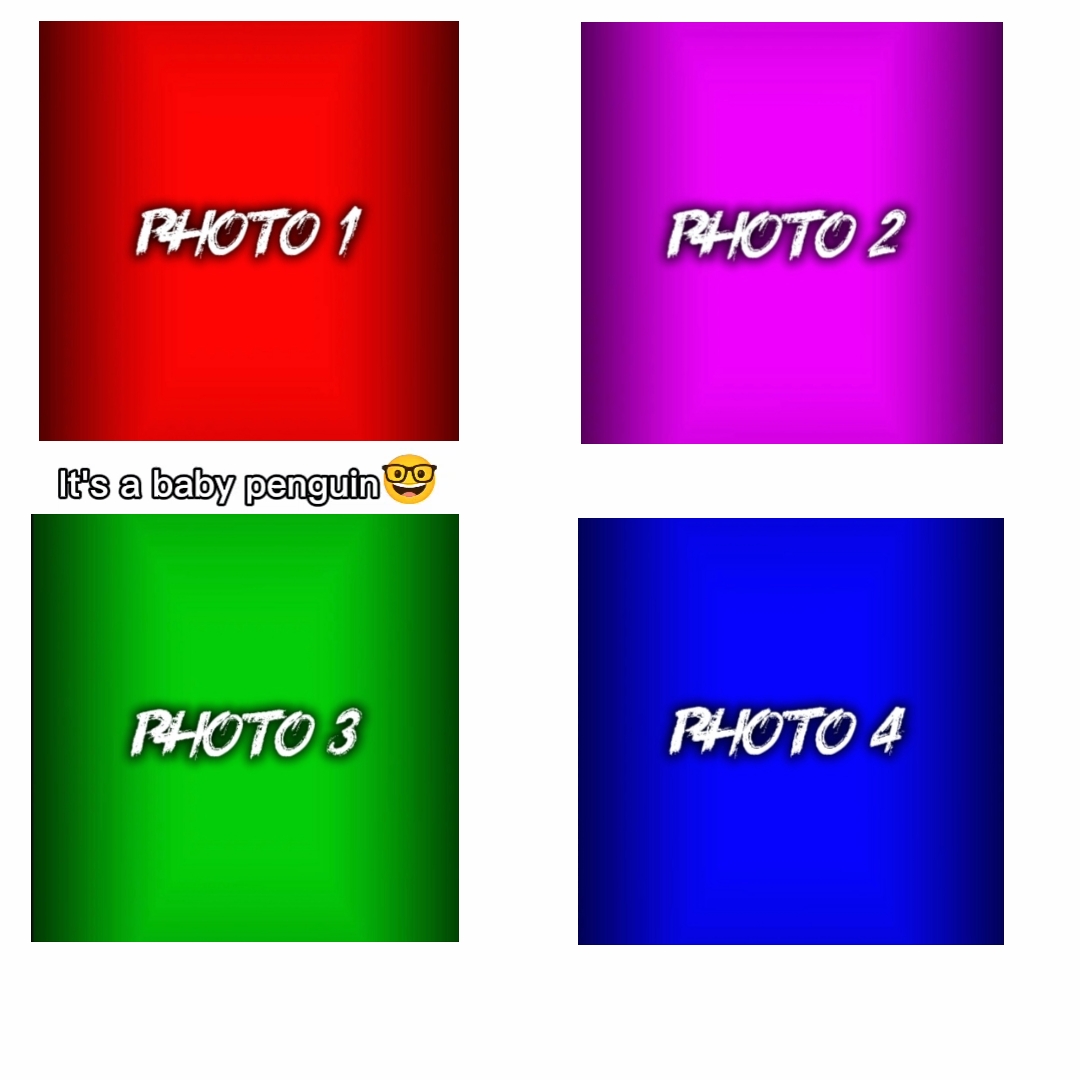 NEW VIRAL TEMPLATE
