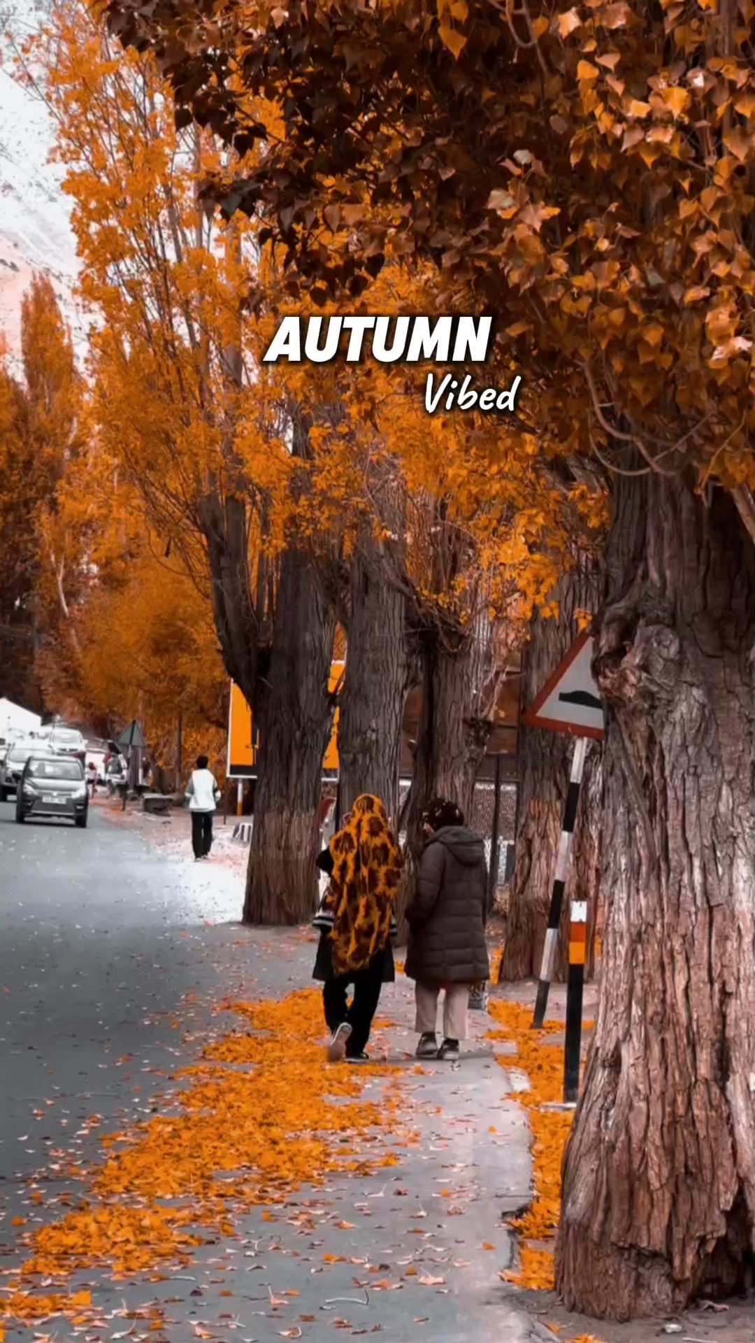 Herbst-Vibes