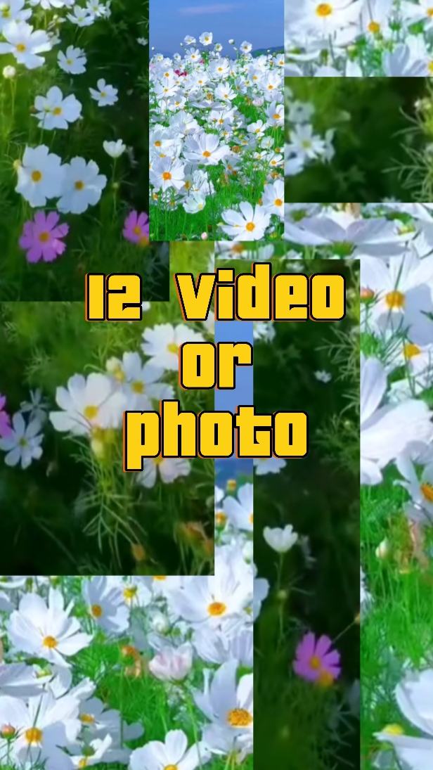 Flor