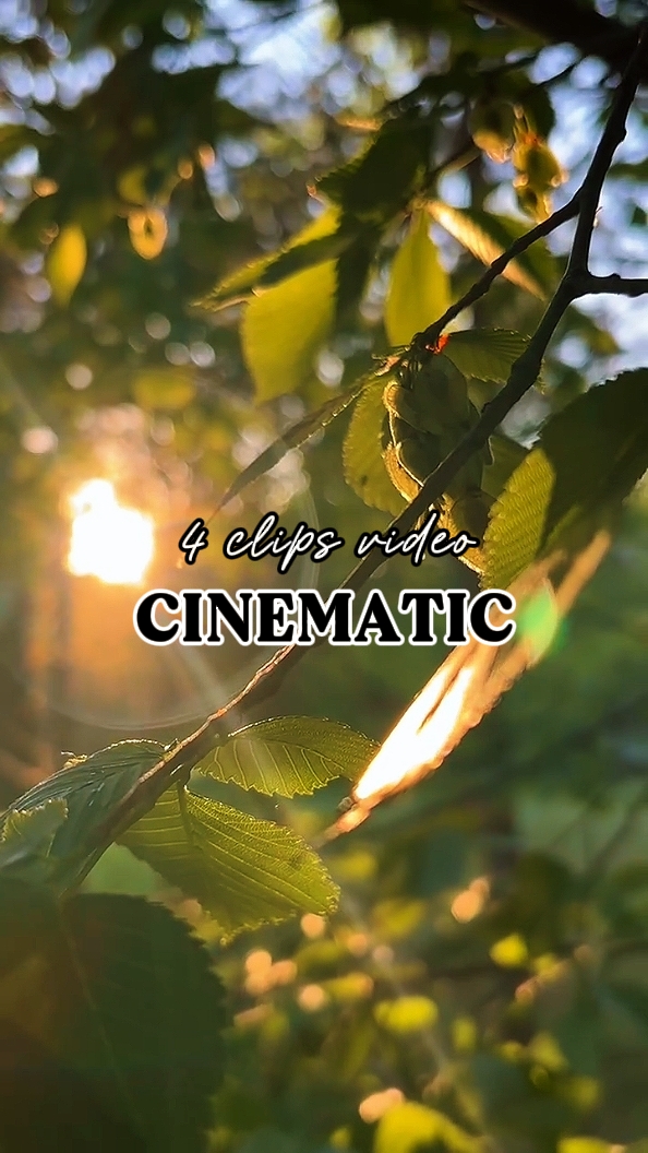 CINÉMATIQUE 4 CLIPS 