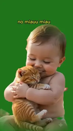 baby cat