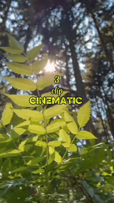 3 clip cinematic 