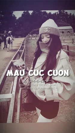 2 ẢNH GIẬT GIẬT