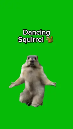 Dancing Squirrel πΏοΈ