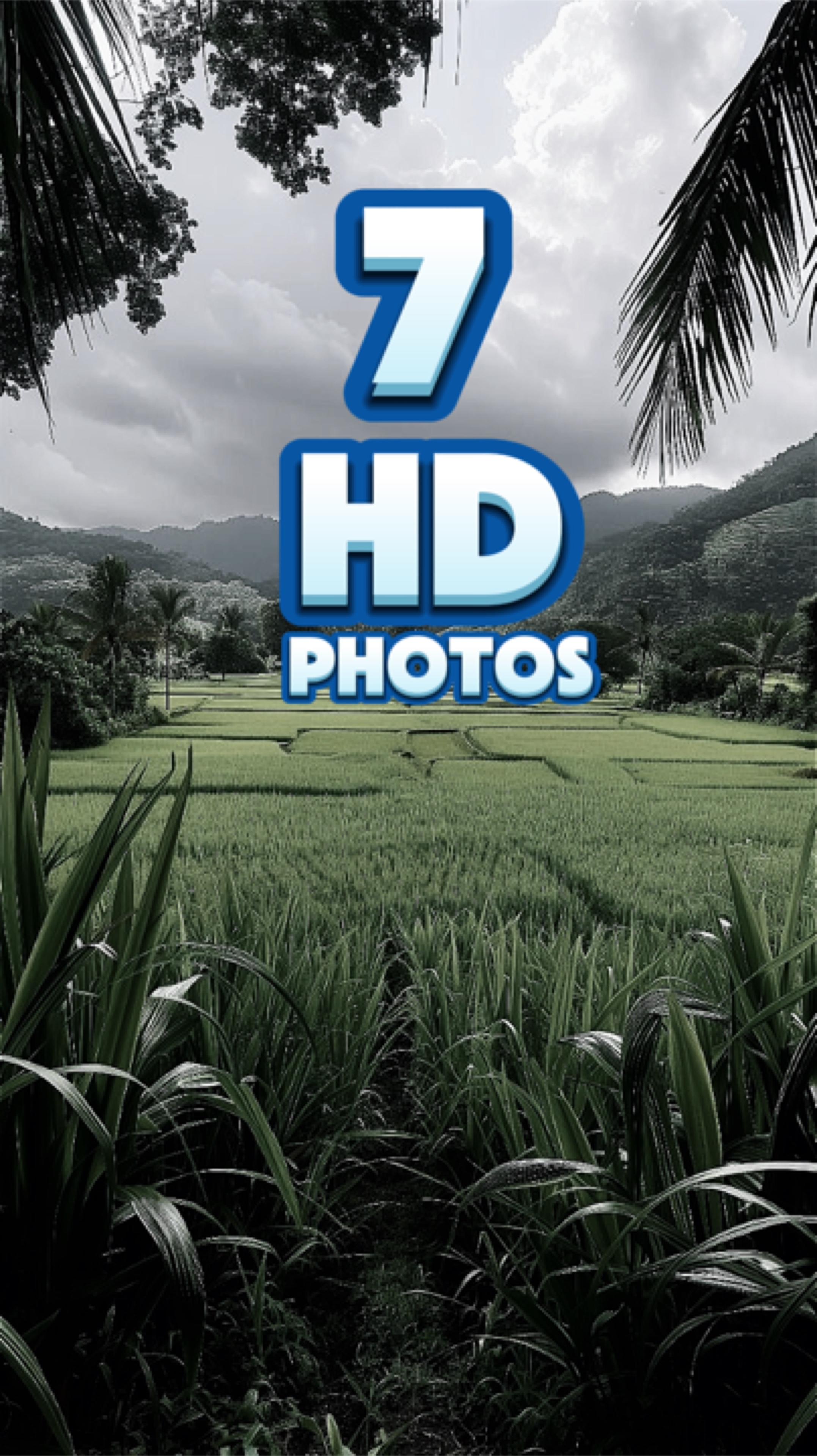 7 HD 사진 