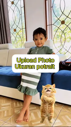 kucing kicau mania