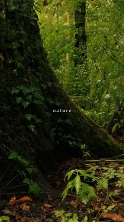 nature, therapy