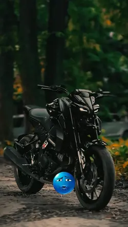 Mt 15 bike lover