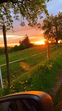 Sunset | yellow