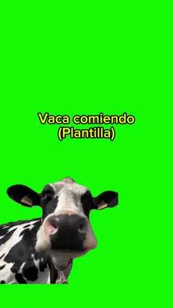 Vaca comiéndo