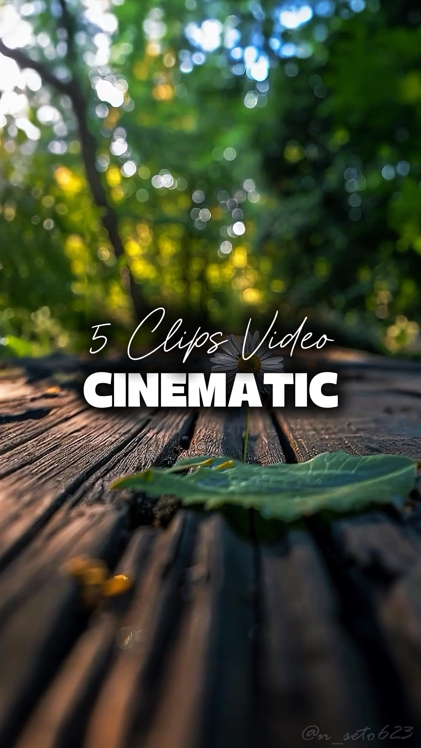 5 Vidéos Cinématiques 
