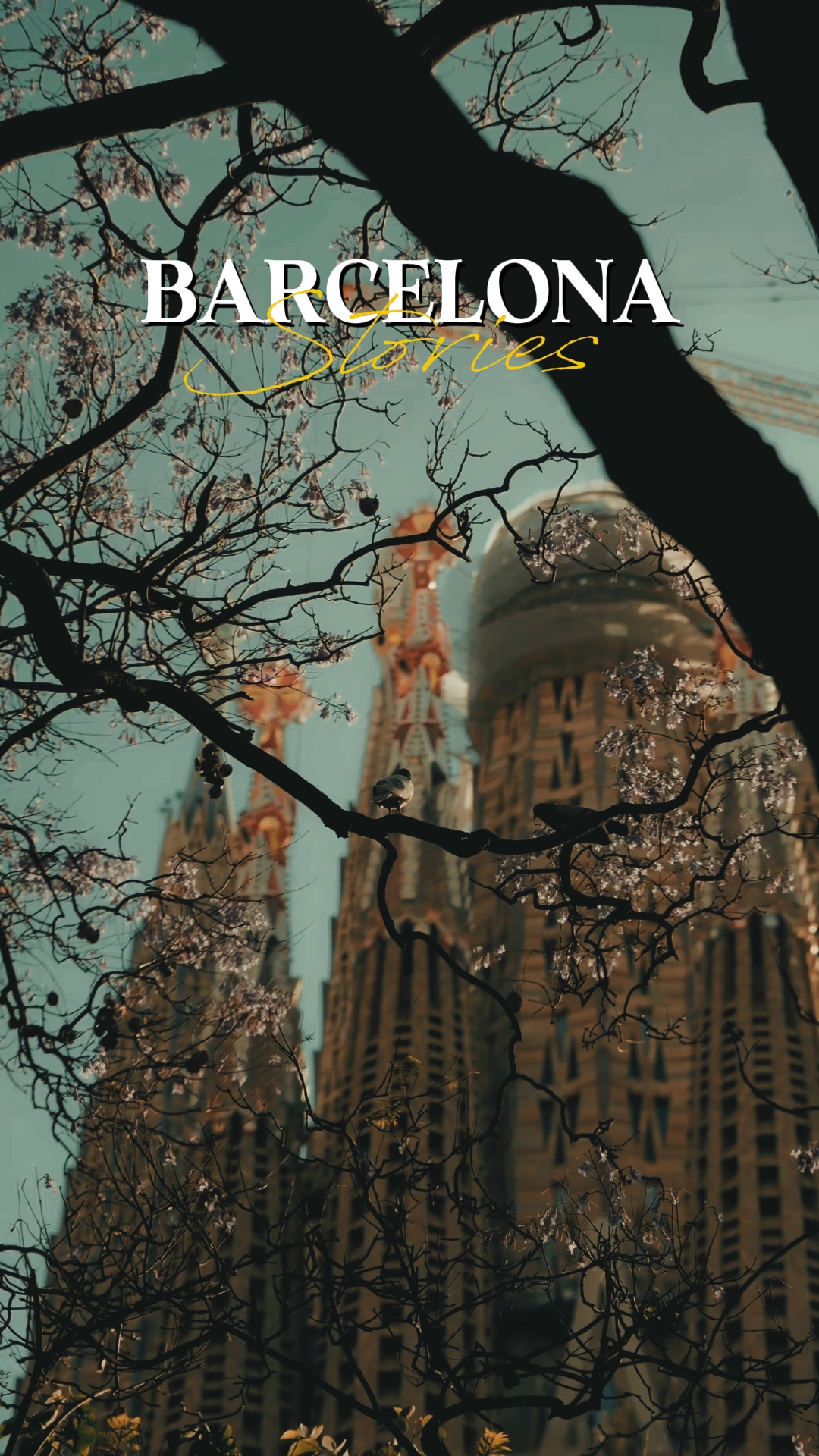 Barcelona Stories