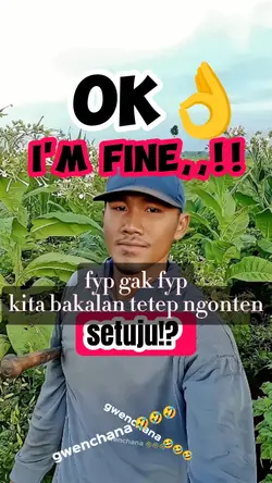ok. I'M FINE. fbpro