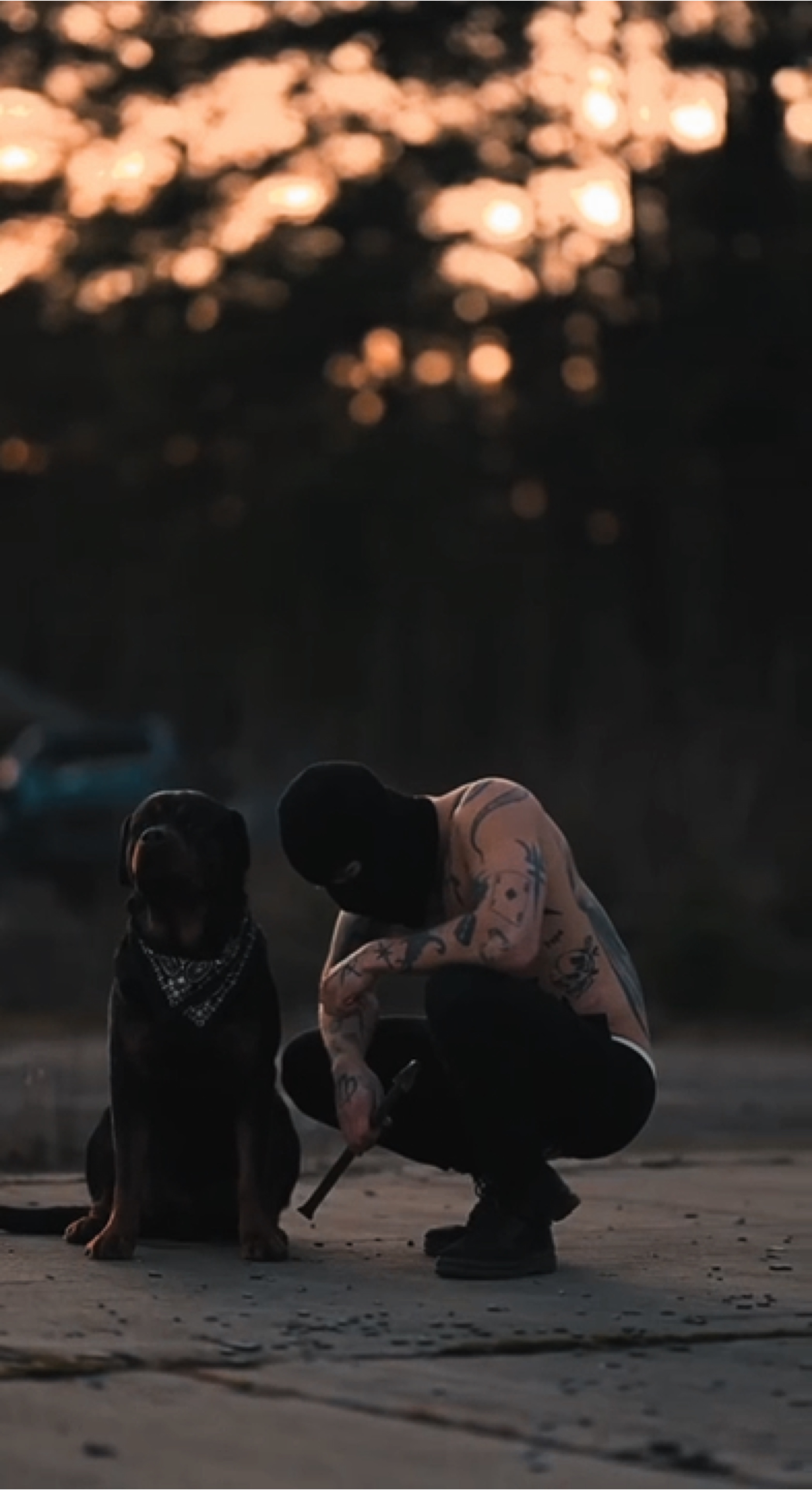 Cover Picture