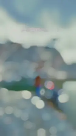 Rajasthani edit
