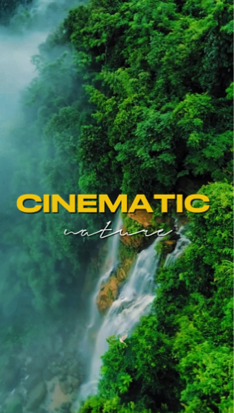 6 Clips Videos