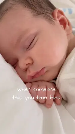 time flies