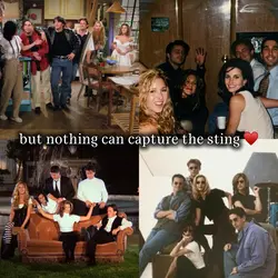 Comfort show