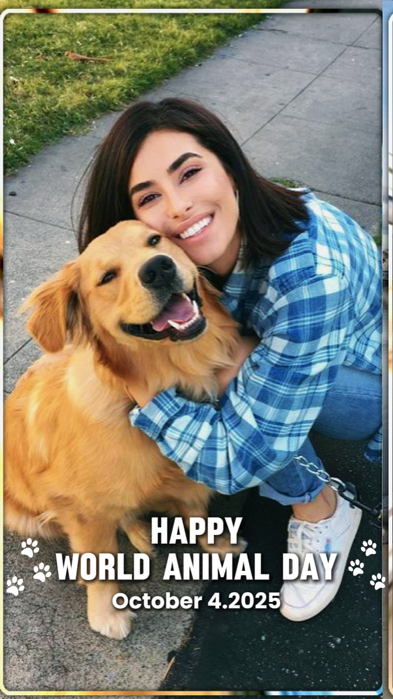 World Animal Day 