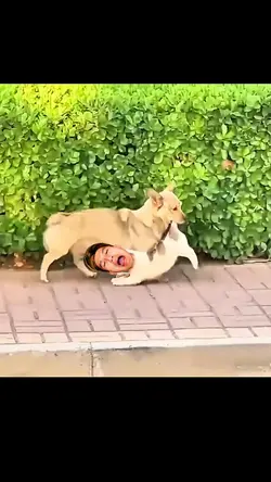 ghép hài bựa nhất 