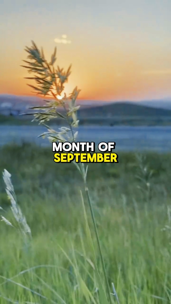 Welcome September