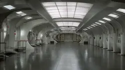 Zoom Out 8 Clips