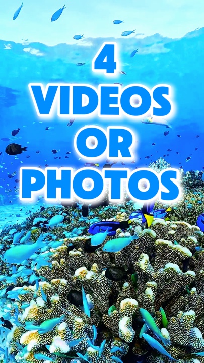 Videos or Photos