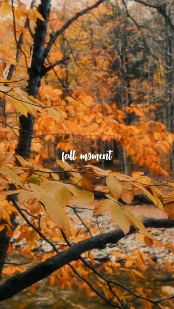 fall moment 