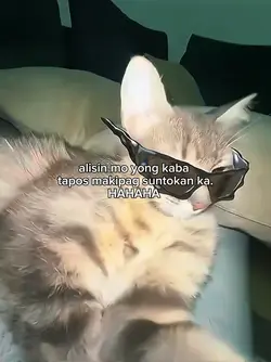 makipagsabayan ka