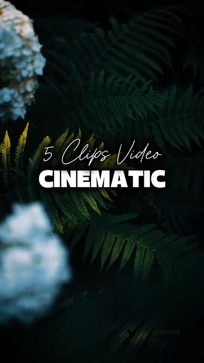 5 Videos Cinematic 