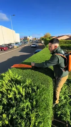 Gardening
