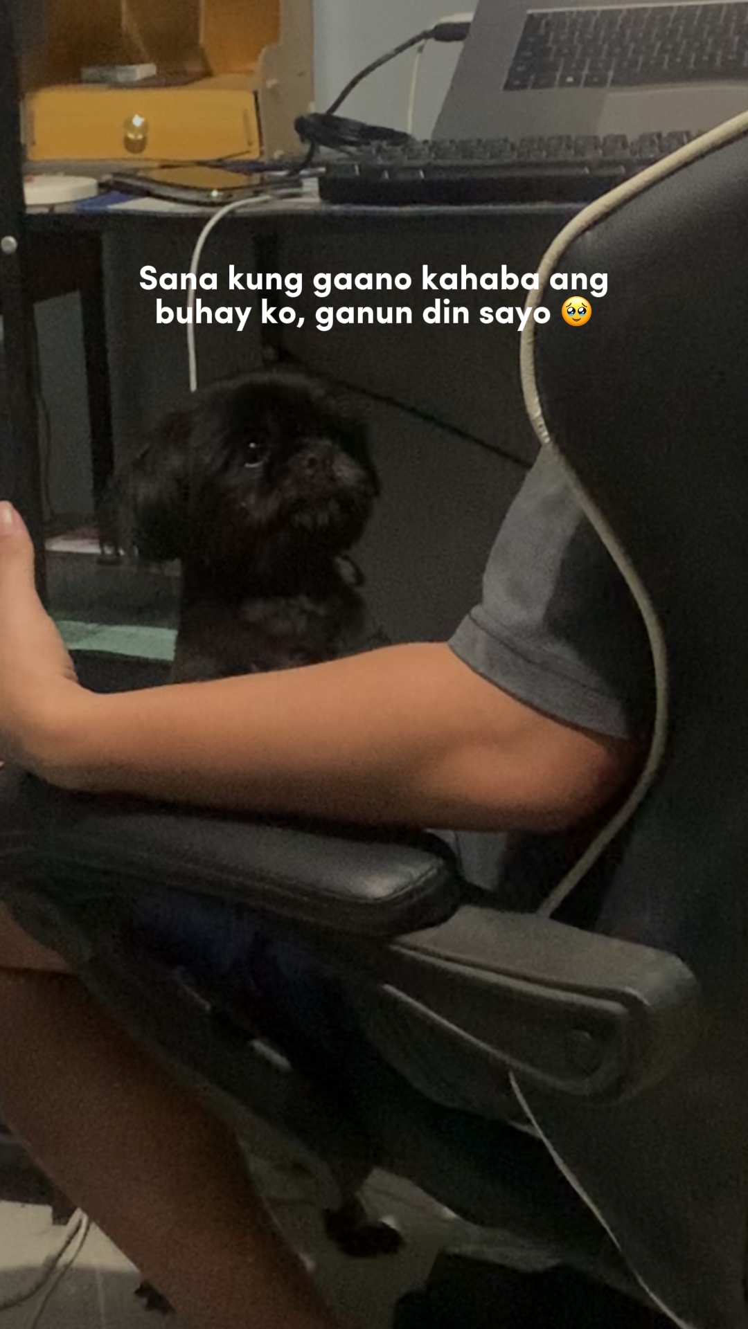 my baby doggie