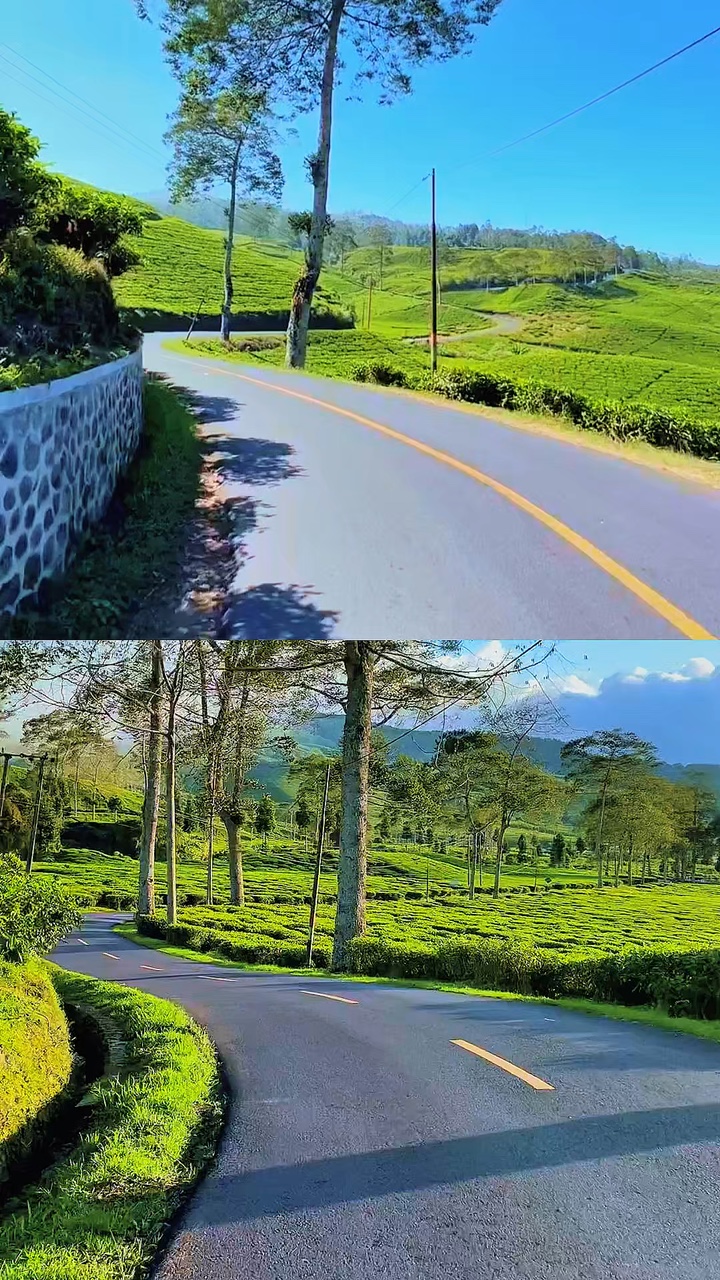 collage video