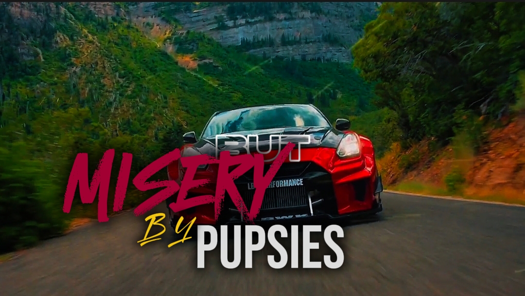 MISERY || PUPSIES