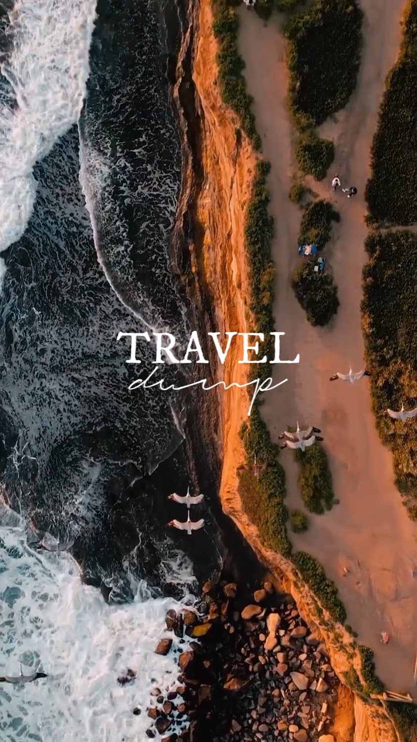 travel dump template