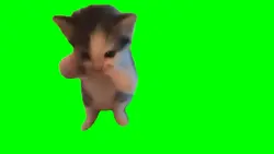 mentahan kucing 