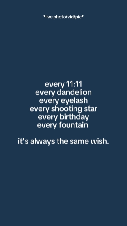 every11:11everydanda